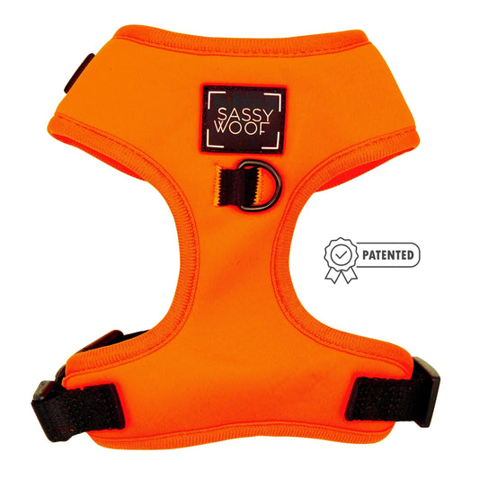 Neon Orange Harness