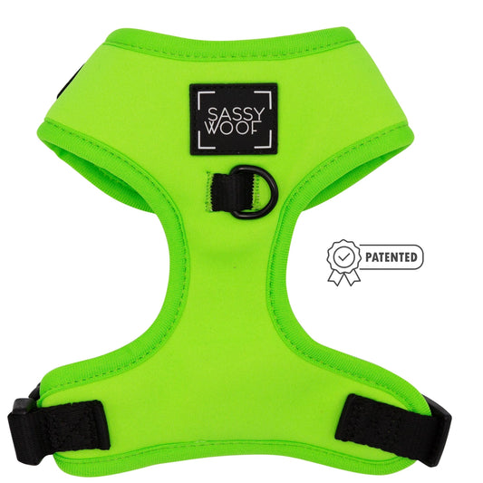 Neon Green Harness