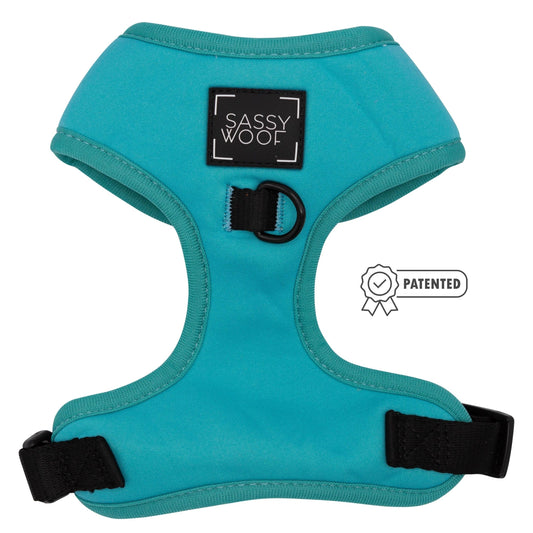 Neon Blue Dog Harness