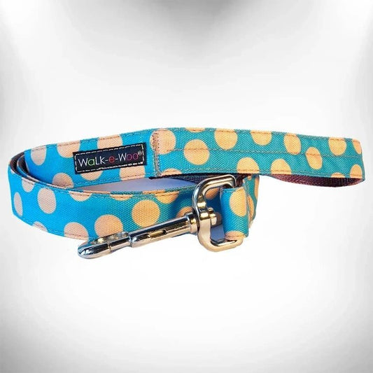 Tan on Turquoise Leash