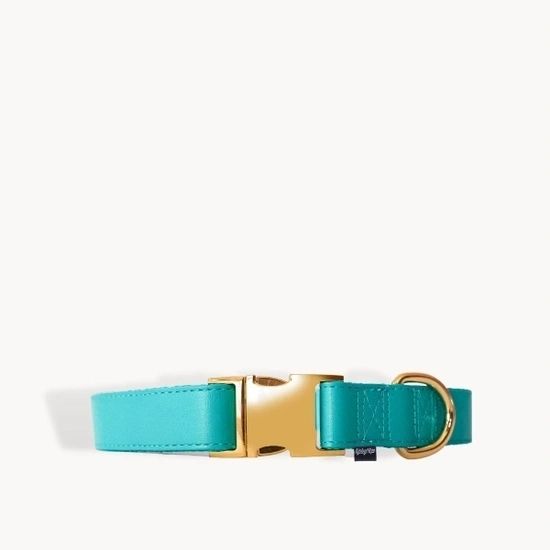 Vegan Leather Dog Collar - Teal With It