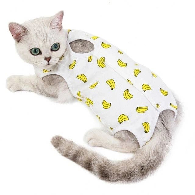 Banana Cat Vest